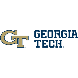 Georgia Tech Yellow Jackets Alternate Logo 2018 - Present